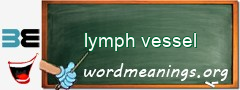 WordMeaning blackboard for lymph vessel